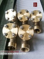 //iororwxhkjmjlm5p.leadongcdn.com/cloud/mpBpoKnrRllSqirllllmj/Y-type-strainer-5-5-150LB-C98500.jpg